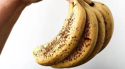 Отличие обычных бананов от мини купить Fruits Exotic