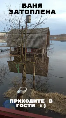 Прикольные картинки про баню (51 фото) » Юмор, позитив и много смешных  картинок