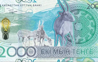 Центробанк отозвал выпуск новых банкнот - Мослента