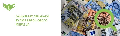 Фальшивые банкноты чаще всего встречаются номиналом 20 и 50 евро |  РБК-Україна