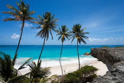 Barbados travel guide: all you need to know - Times Travel