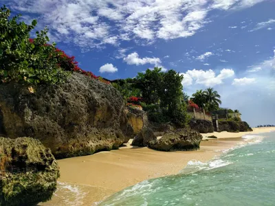 Barbados Travel Guide | AFAR