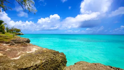All you need to know about Barbados