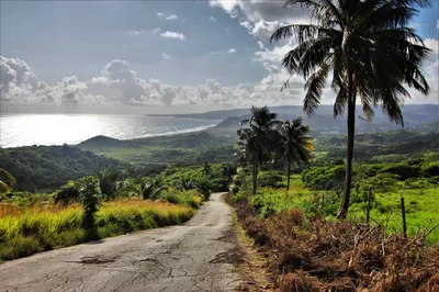 This is The Best Time to Visit Barbados In 2024