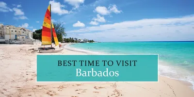 Where to eat in Barbados, from fish shacks to innovative restaurants