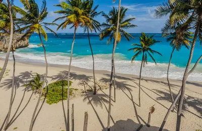 Visit Barbados: 2024 Travel Guide for Barbados, Caribbean | Expedia