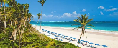 Barbados travel - Lonely Planet | Caribbean