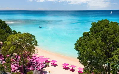 21 Fun Facts about Barbados | Bougainvillea Barbados