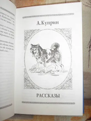 Барбос И Жулька Рисунок (40 Фото)