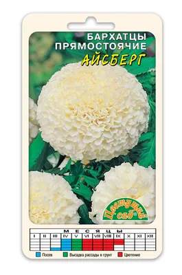 Бархатцы Цветущий сад ЦС Бархатцы ПРЯМОСТОЯЧИЕ - купить по выгодным ценам в  интернет-магазине OZON (437045168)