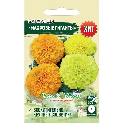 Бархатцы Оранжевый Снег семена купить в Украине | Веснодар