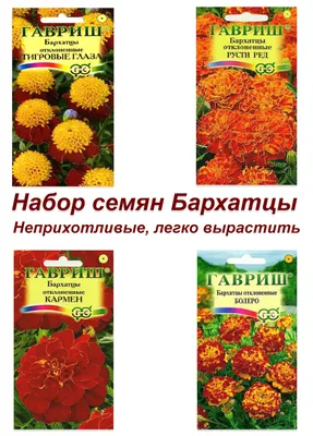 S1727 Бархатцы отклоненные Super Hero Orange 100 шт. - купить в Москве в  интернет-магазине