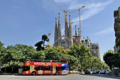 25 интересных и малоизвестных фактов о Барселоне | Top House Realty