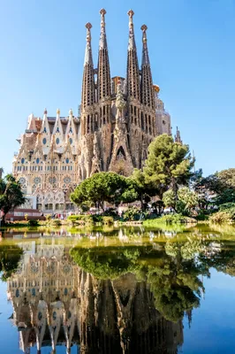 Барселона: обзорная экскурсия по городу на целый день | GetYourGuide