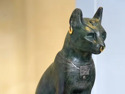 Bastet😻The Goddess of cats, and protector of Women and Children. : r/cats