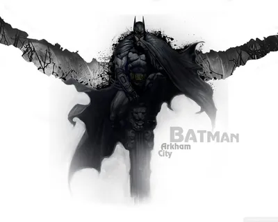 Batman Arkham City - «Бэтмен вообще нормальный?» | отзывы