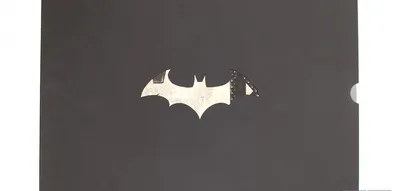 Arkham City :: Batman Arkham (Бэтмен: Аркхэм, Аркхэмверс, игры про Аркхем)  :: Batman (Бэтмен, Темный рыцарь, Брюс Уэйн) :: DC Comics (DC Universe,  Вселенная ДиСи) :: фэндомы / картинки, гифки, прикольные комиксы,  интересные статьи по теме.