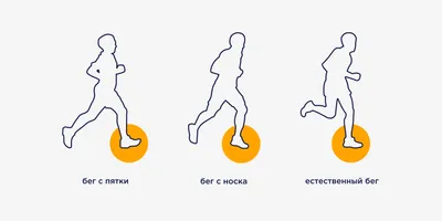 Чем полезен бег? Что говорит наука о пользе бега для здоровья