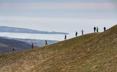 Wings for Life World Run