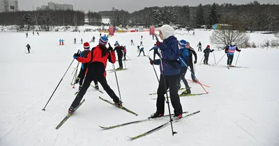 Даешь лыжню! Как выбрать беговые лыжи? — полезные статьи интернет-магазина  ВелоГрад