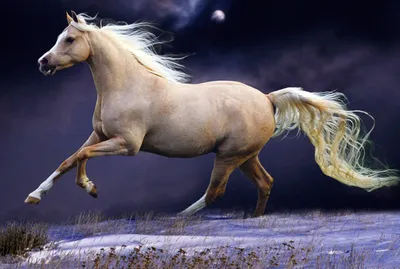 Картина 'Бегущие кони', белый с нанесением логотипа оптом в Москве –  OmniGifts