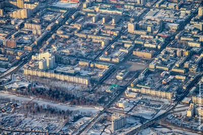 В Белгороде зацветут 5 миллионов тюльпанов