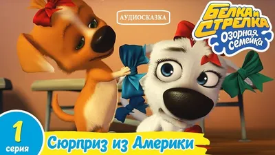 Мультсериал «Белка и Стрелка. Озорная семейка» 2010-2012: актеры, время  выхода и описание на Первом канале / Channel One Russia