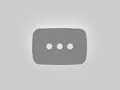Мультфильм Белка и Стрелка: Озорная семейка 2 сезон 15 серия смотреть  онлайн бесплатно в хорошем качестве