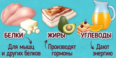 Белки, жиры и углеводы. К чему приводит недостаток или избыток |  Calorizator.ru | Дзен