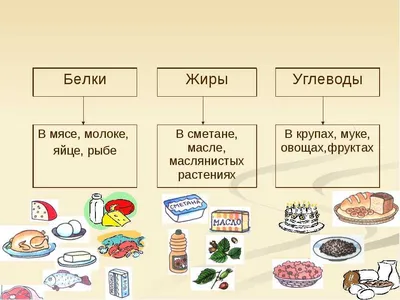 Роль белков, жиров и углеводов в здоровом питании. Значение макроэлементов  для здоровья и практические рекомендации | YAMDIET