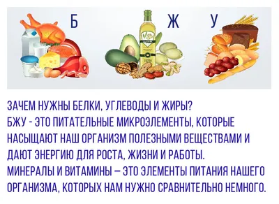 Главное, что нужно знать о белках, жирах и углеводах - Sektascience:  научно-популярный журнал