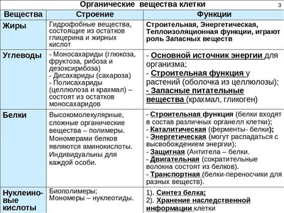 О белках, жирах и углеводах • Магазин халяль продуктов «Халяль у нас» в  Санкт-Петербурге