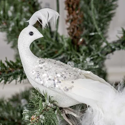 белый павлин фото: 19 тыс изображений найдено в Яндекс.Картинках | White  peacock, Beautiful birds, Bird