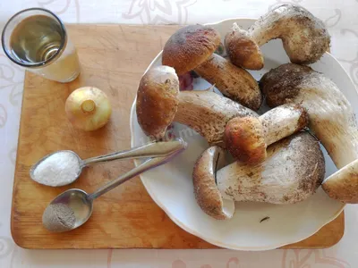 Как готовить белые грибы: Варка, Жарка, Сушка, Маринование и Соление | Наш  Сургут | Дзен