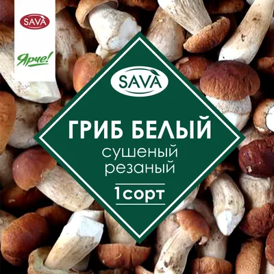 Белые грибы сушеные молотые, грибной порошок 100гр - купить с доставкой по  выгодным ценам в интернет-магазине OZON (700848658)