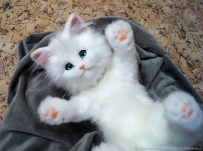 Мега реализм милый белый котёнок» — создано в Шедевруме