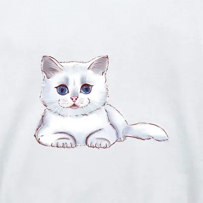 белый котёнок с голубыми глазами. Стоковое Фото - изображение насчитывающей  нутряно, сторона: 238583866