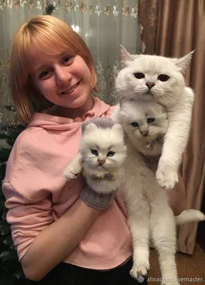 Женские вязаные варежки с декором \"Белые котики\" – купить в  интернет-магазине HobbyPortal.ru с доставкой
