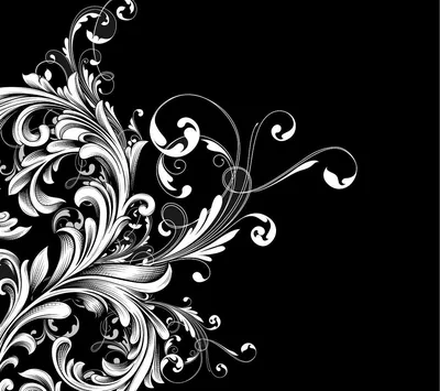 красивый белые блики на черном фоне Stock Photo | Adobe Stock