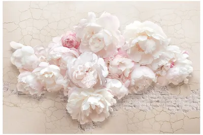 Фото обои 254x184 см Цветы 3D Белые пионы на кирпичной стене (14171P4)+клей  купить по цене 850,00 грн