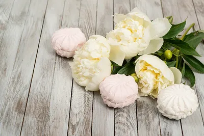 Купить Ароматные белые пионы в оформлении с доставкой в Краснодаре | Vanilla