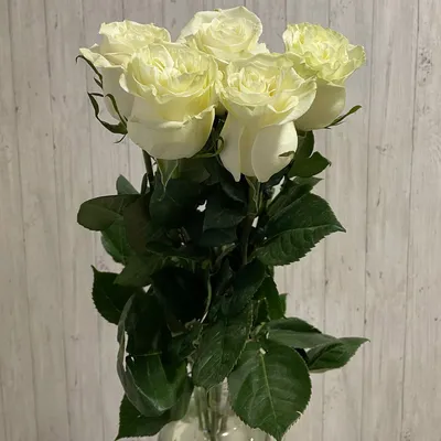 Розовые и белые розы микс 51 шт. купить с доставкой в Москве. Цена от 5355 ₽