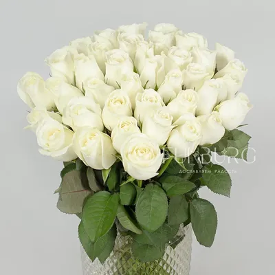 Обои для рабочего стола Белый тюльпан Поля Цветы 1080x1920