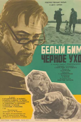 Фильм «Белый Бим Чёрное Ухо» 1977: актеры, время выхода и описание на  Первом канале / Channel One Russia