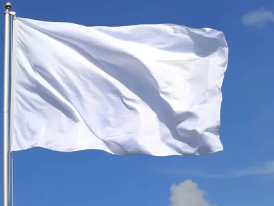 Белый флаг 135х90см. купить в Москве