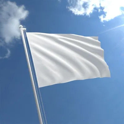 White Flag | The Sea of Thieves Wiki
