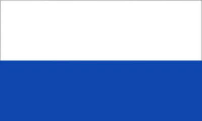 Флаг прекрасной России будущего