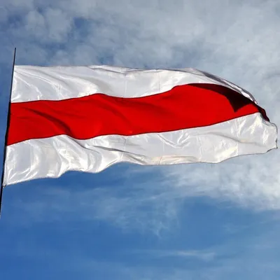 Telegram поменял флаг Белоруссии в эмодзи на оппозиционный — РБК