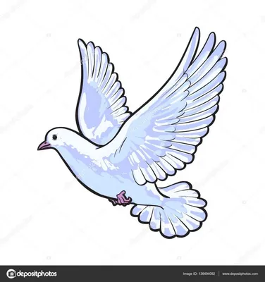 Бесплатно Летающий белый голубь, изолированный эскиз стиль иллюстрации —  стоковая иллюстрация | Рисунок птиц, Искусство птицы, Милые рисунки