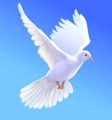 Акция \"Белый голубь - символ мира\", ГБОУ Школа № 1399, Москва